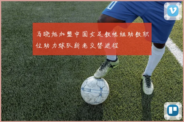 马晓旭加盟中国女足教练组助教职位助力球队新老交替进程